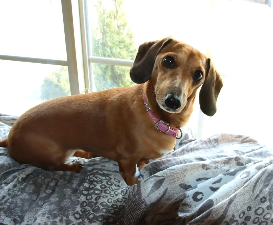 Melissa took such good care of Mini!